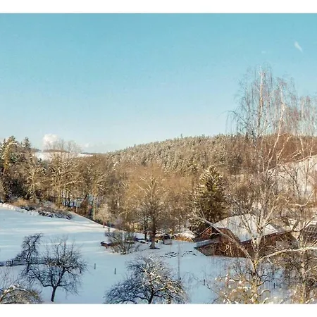 Two-bedroom In Zeulenroda-triebes Apartman *